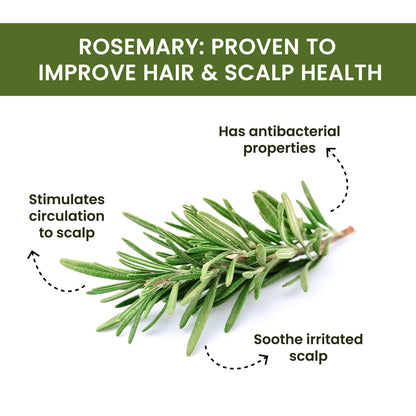 Rosemary Water Spray For Hair Regrowth